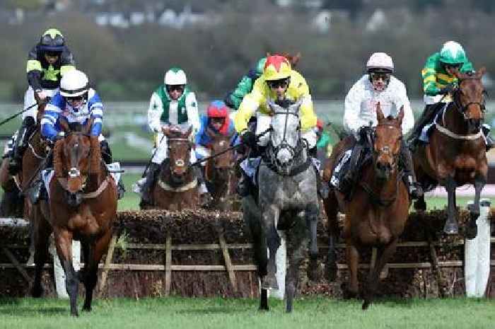 4 Cheltenham Gold Cup tips that could shock favourite Galopin Des Champs at the Greatest Show on Turf