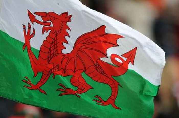 Welsh language 'should be preserved and cherished'