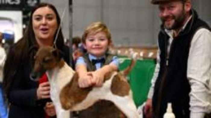 Crufts history made by six-year-old boy's win