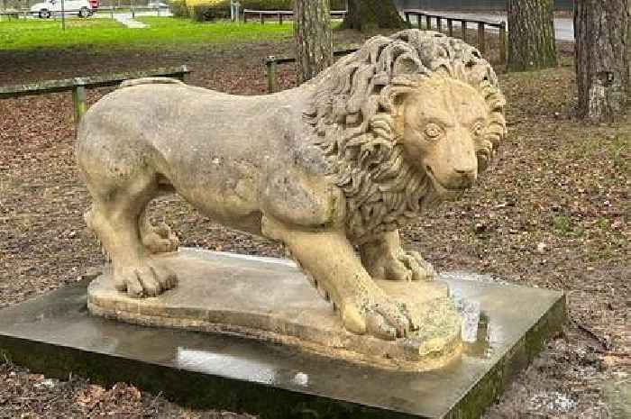 Weelsby Woods lions to become 'twins' once again