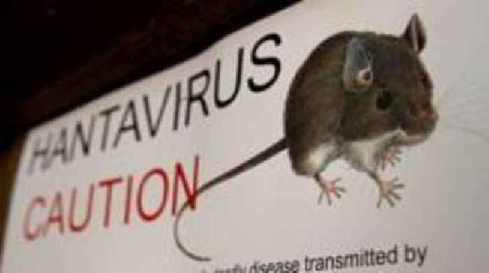 What is hantavirus, disease which killed Gene Hackman's wife?