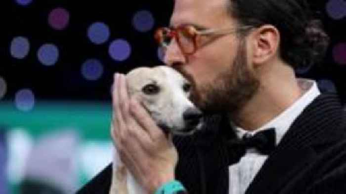 Dog from Italy wins top Crufts prize for first time