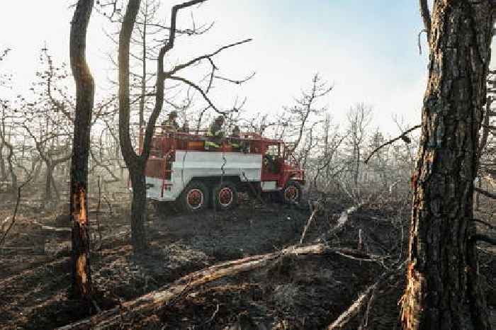 Gov. Hochul expands burn ban as Long Island wildfires highlight growing fire risk