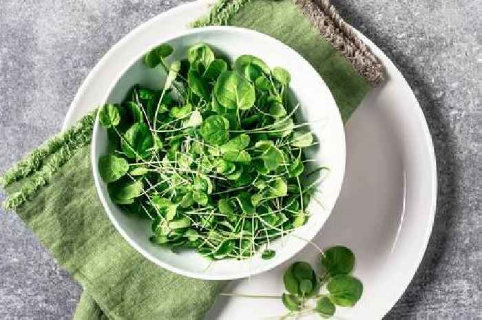 The 'healthiest vegetable on Earth' according to science - and it's highly underrated