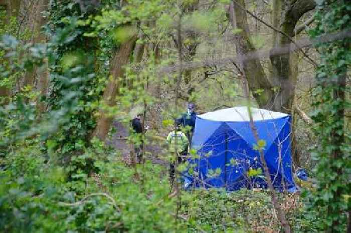 Man's body chopped into 27 pieces and dumped at different locations