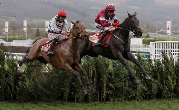 Galvin to write another chapter in Elliott’s cross country Story