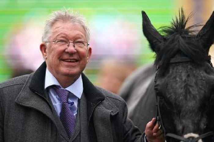 Sir Alex Ferguson's staggering horse racing winnings with eyes on £1.1m at Cheltenham Festival 2025