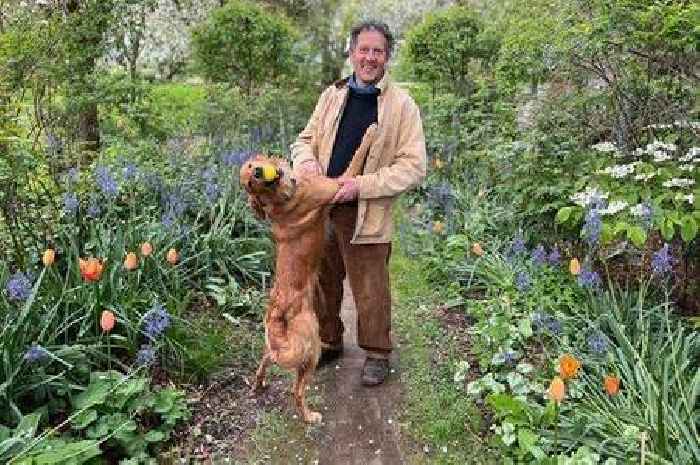 BBC Gardeners' World star Monty Don thrills fans as he issues new series announcement