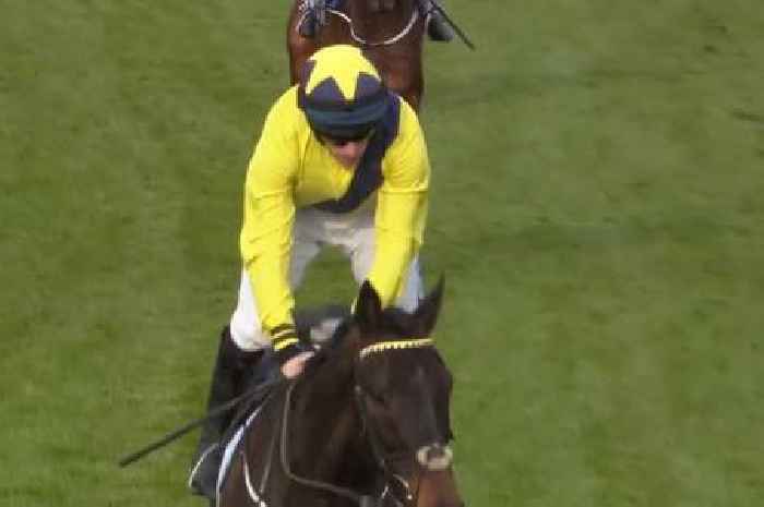 Marine Nationale beats Jonbon to emotional Cheltenham win after tragic jockey death
