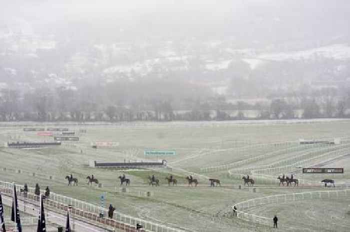 Cheltenham Festival 2025 snow latest as racing update issued amid postponement fears