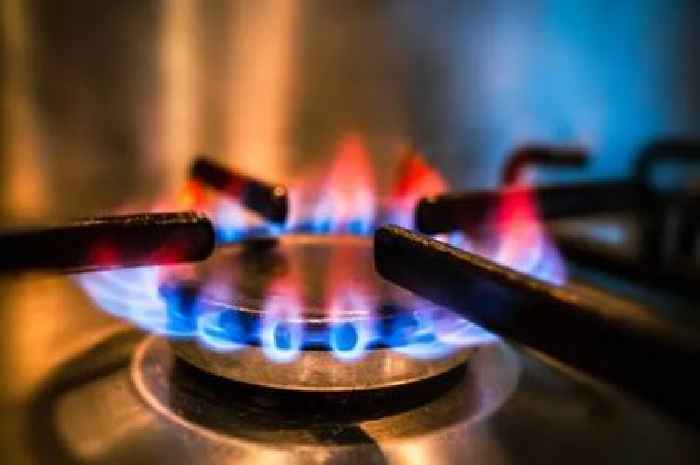 British Gas, OVO, EDF, EON, Octopus customers urged to complete one task or be overcharged