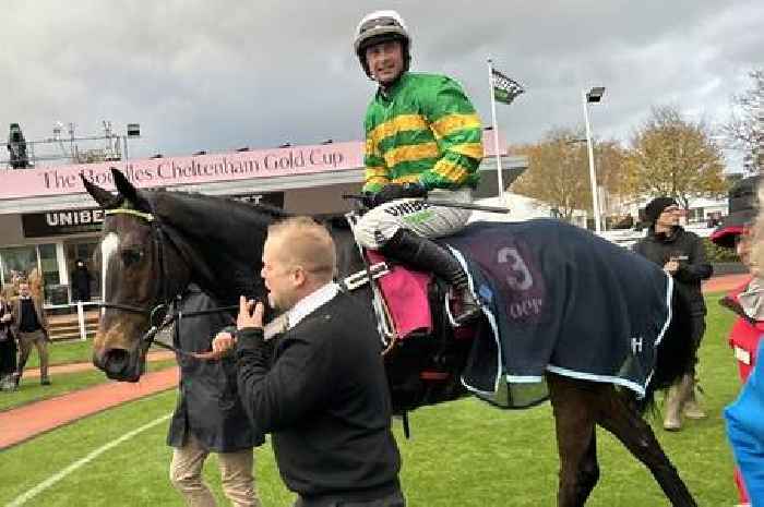 Champion Chase preview: Jonbon primed to deliver for Nicky Henderson after Constitution Hill's slip-up