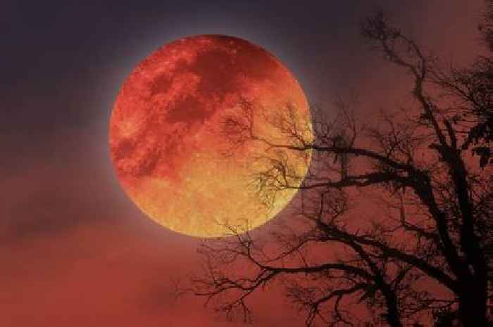 When is the blood moon lunar eclipse?