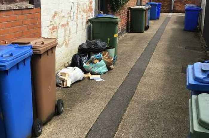 Woman caught on camera dumping waste in alleyway behind her home