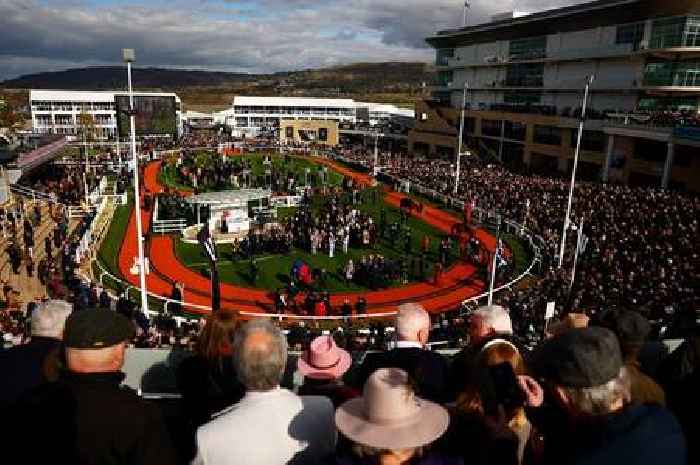 'I'm a shot girl at Cheltenham Festival – you'll never believe how much I earn'