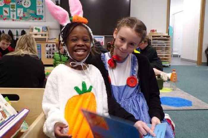 Matford Brook Academy celebrates reading with new library and creative events