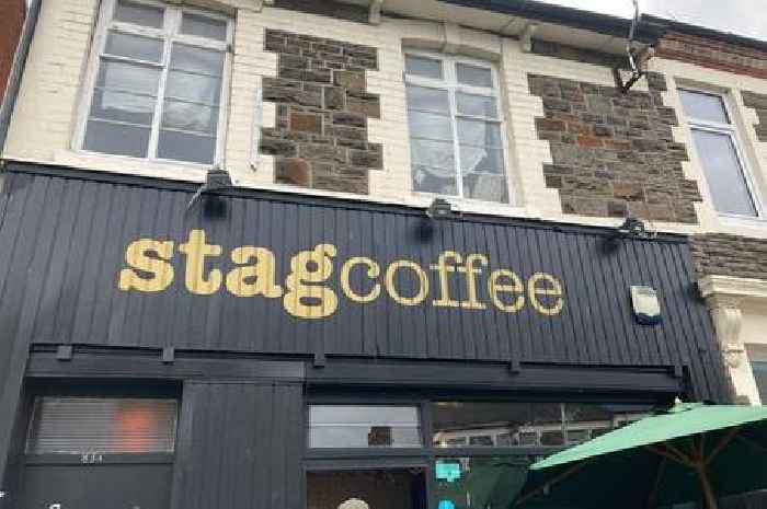 Live maggot larvae and fly infestations at Cardiff coffee shop once popular with students