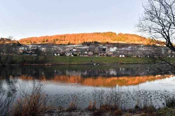 Huge country park an hour's drive from Bristol with lush walks, 'secret' mini lake and popular café