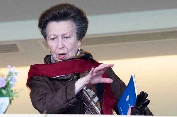 I was lucky I didn’t say anything too cheeky before Princess Anne’s eight-word comment