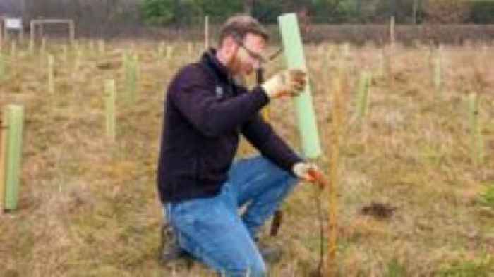 National Trust site to welcome 15,000 trees