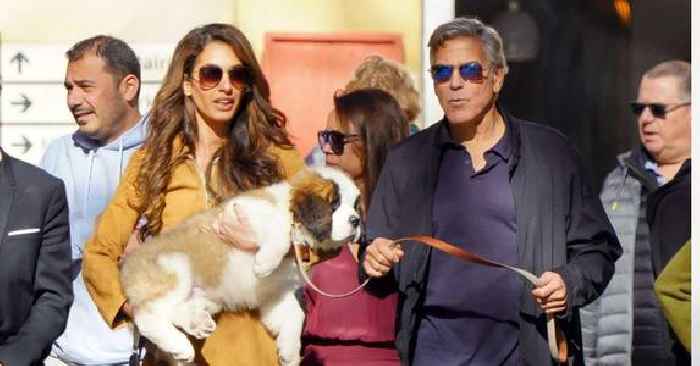 George Clooney's Heartwarming Transformation: How Amal and Their Twins Are Shaping His New Life