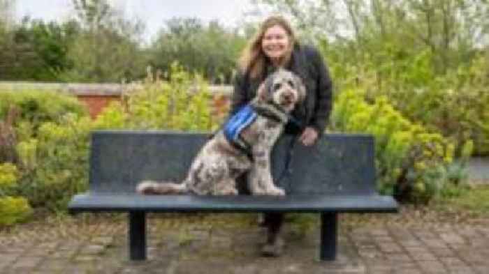 'My support dog is a campus rockstar'