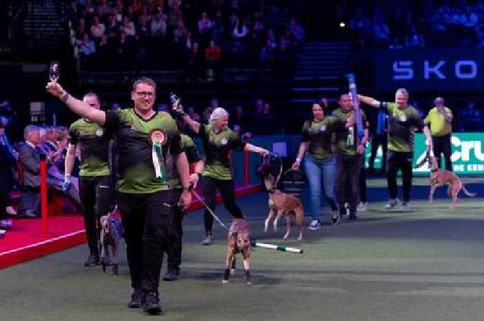Crufts 2025 best pictures and sporting moments from the world's greatest dog show