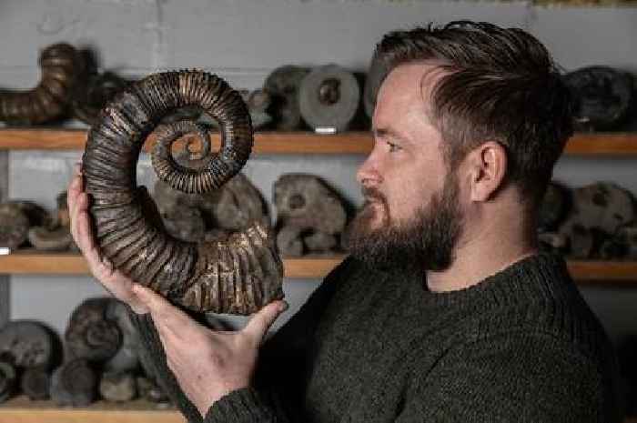 Hull man quits his job to pursue his fossil hunting hobby - and now earns £40K a year