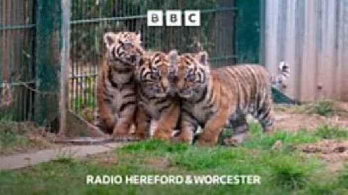 Worcestershire's cutest new arrivals