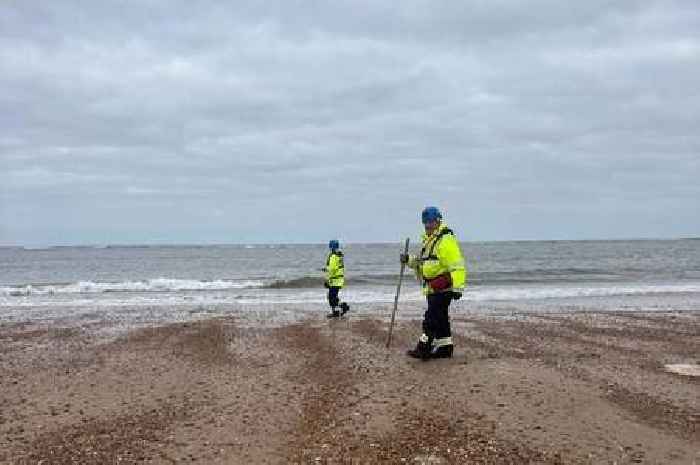 Beach clean-up continuing and salvors able to 'fully access' Solong cargo ship