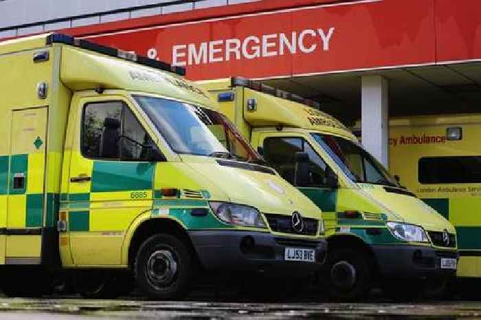 Three dead after eating contaminated desserts supplied to UK hospitals