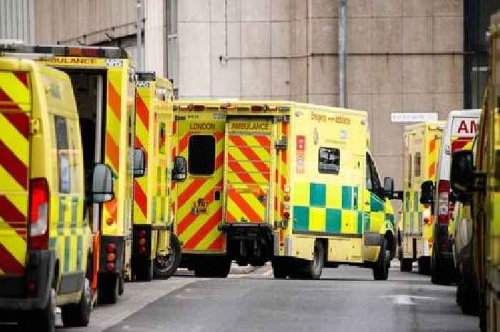 Three dead and two hospitalised after eating desserts in UK hospitals as listeria outbreak spreads