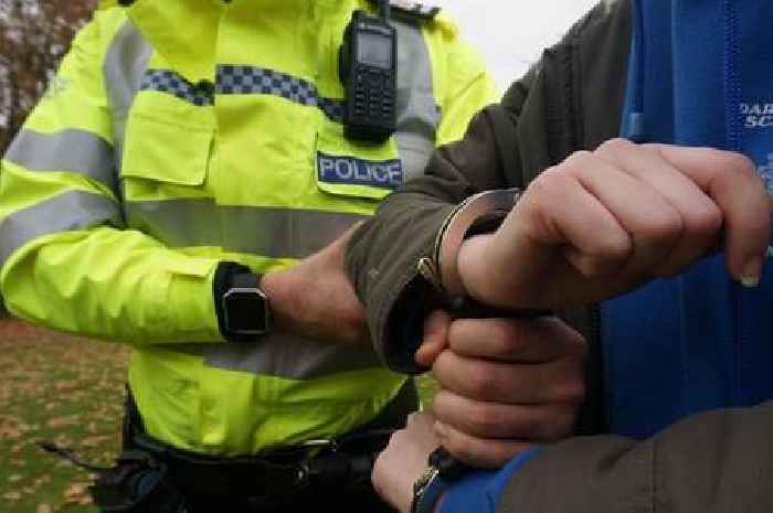 Two arrested after Chertsey house fire sees residents taken to hospital