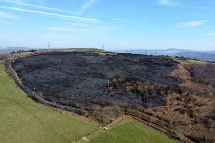 Photos show vast scale of huge Swansea mountain fire