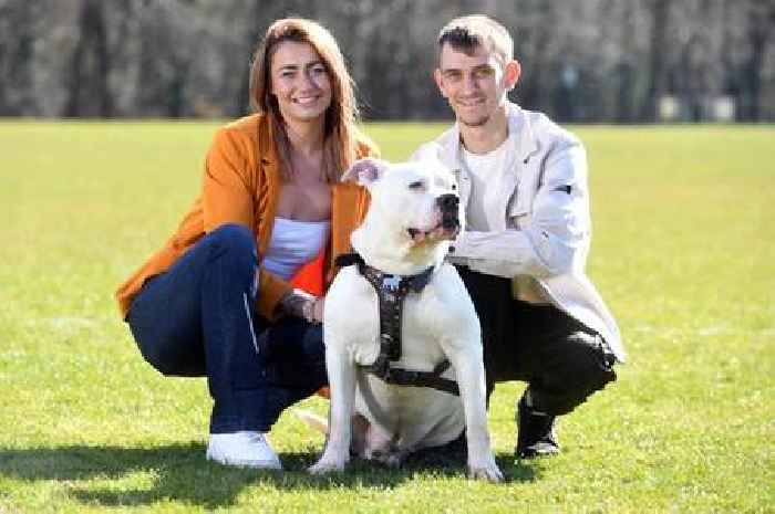Ralph the dog reunited with tearful owners after he was suspected of being XL Bully and seized