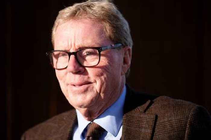 Harry Redknapp delivers damning Tottenham Hotspur verdict about 'crazy' and 'unreliable' player