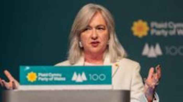 Reform could win next Welsh election: Plaid MP