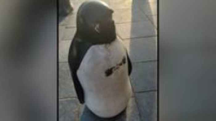 Anger at damage to seafront penguin bollards