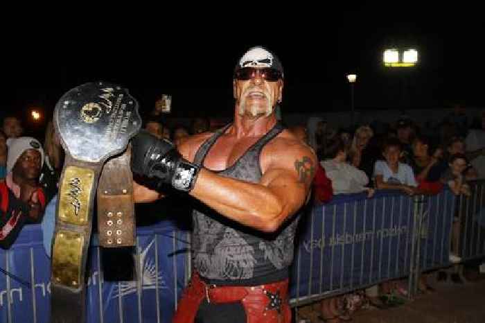 News24 | SA's 'fake' Hulk Hogan: From viral TikTok cameos to an Indian newspaper mix-up