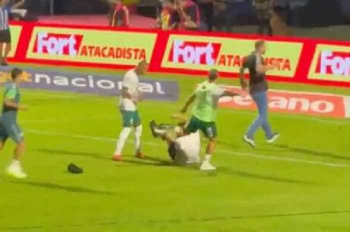 Footballer channels Eric Cantona and kung-fu kicks taunting fan in the head