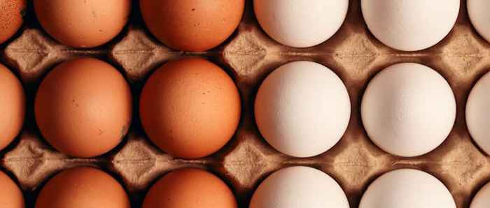Q&A on Egg Prices