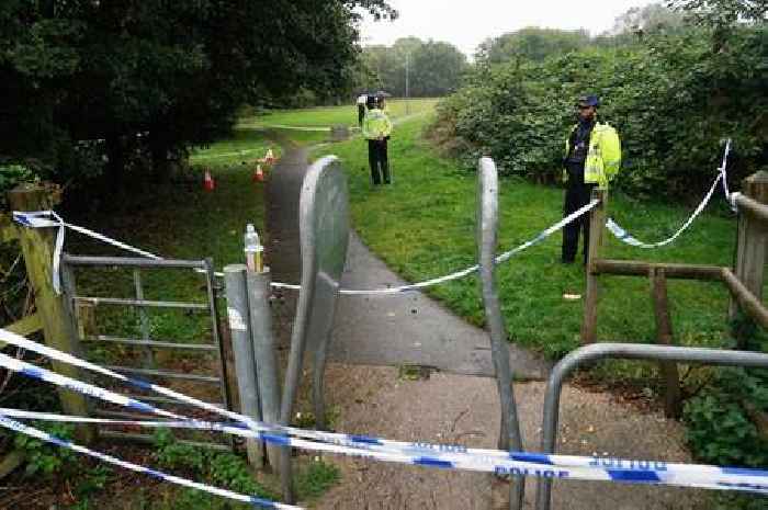 Girl, 13, took photo of pensioner week before fatal incident, jury told
