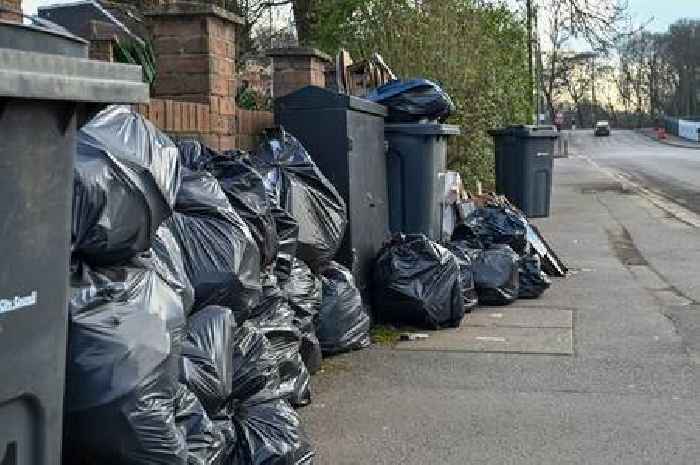 Birmingham bins boss quizzed on garden waste refunds and fortnightly collections