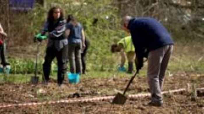 Volunteers plant three 'tiny forests' in one day