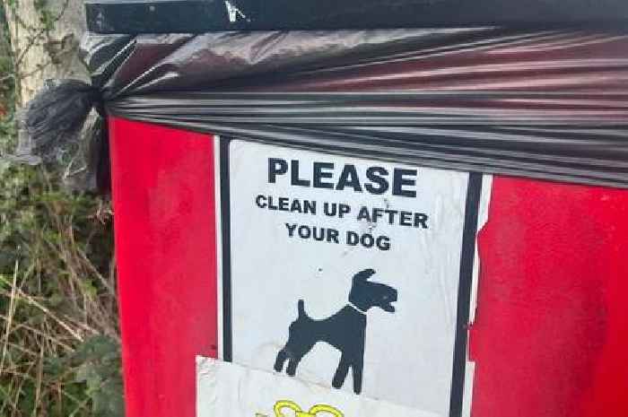 Council only issues four dog fouling fines in three years despite reports tripling