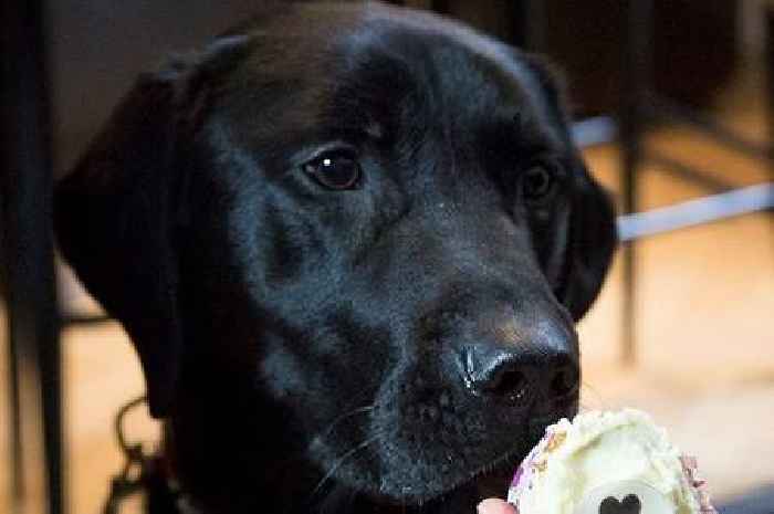 Guide Dogs’ North Lanarkshire fundraising group holding Make Every Cuppa Count coffee morning in Airdrie