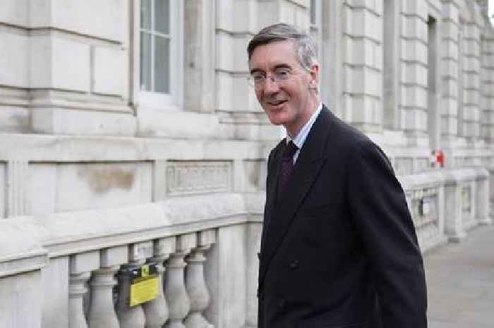 Jacob Rees-Mogg on why Covid fraud ‘ran into the billions’