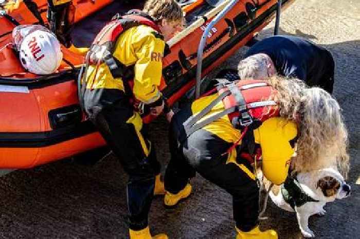 River drama as bulldog and owner are rescued from the water