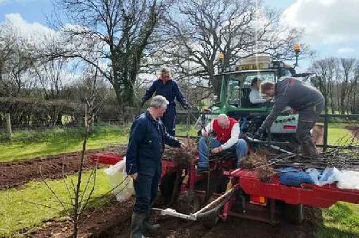New Somerset orchard secures future of Thatchers Cider