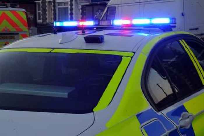 Lorry driver arrested after woman killed in crash on busy Essex road